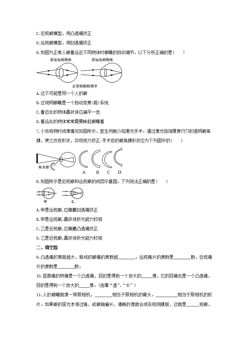2021年人教版物理八年级上册5.4《眼睛和眼镜》课时练习（含答案）02