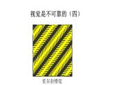 1.1长度和时间的测量课件PPT