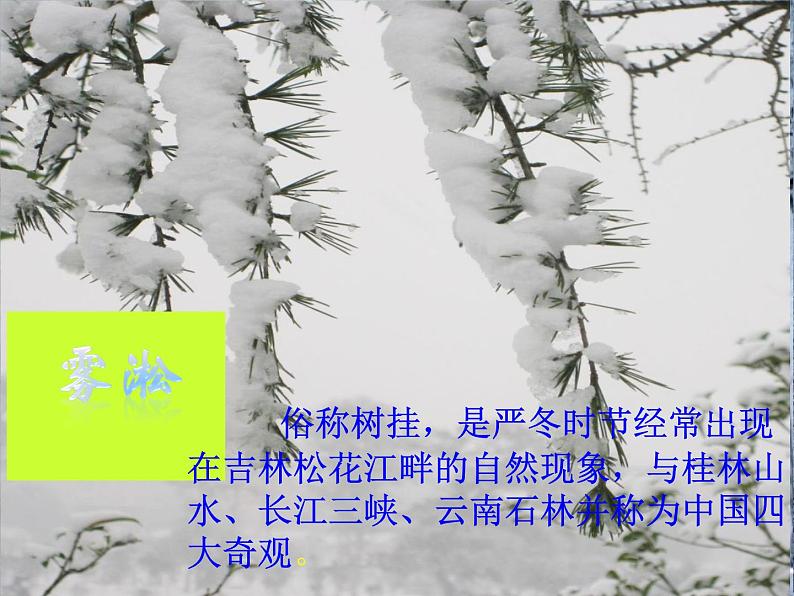 沪科版九年级物理全一册教学课件：12.4 升华和凝华 （共30张PPT）第8页