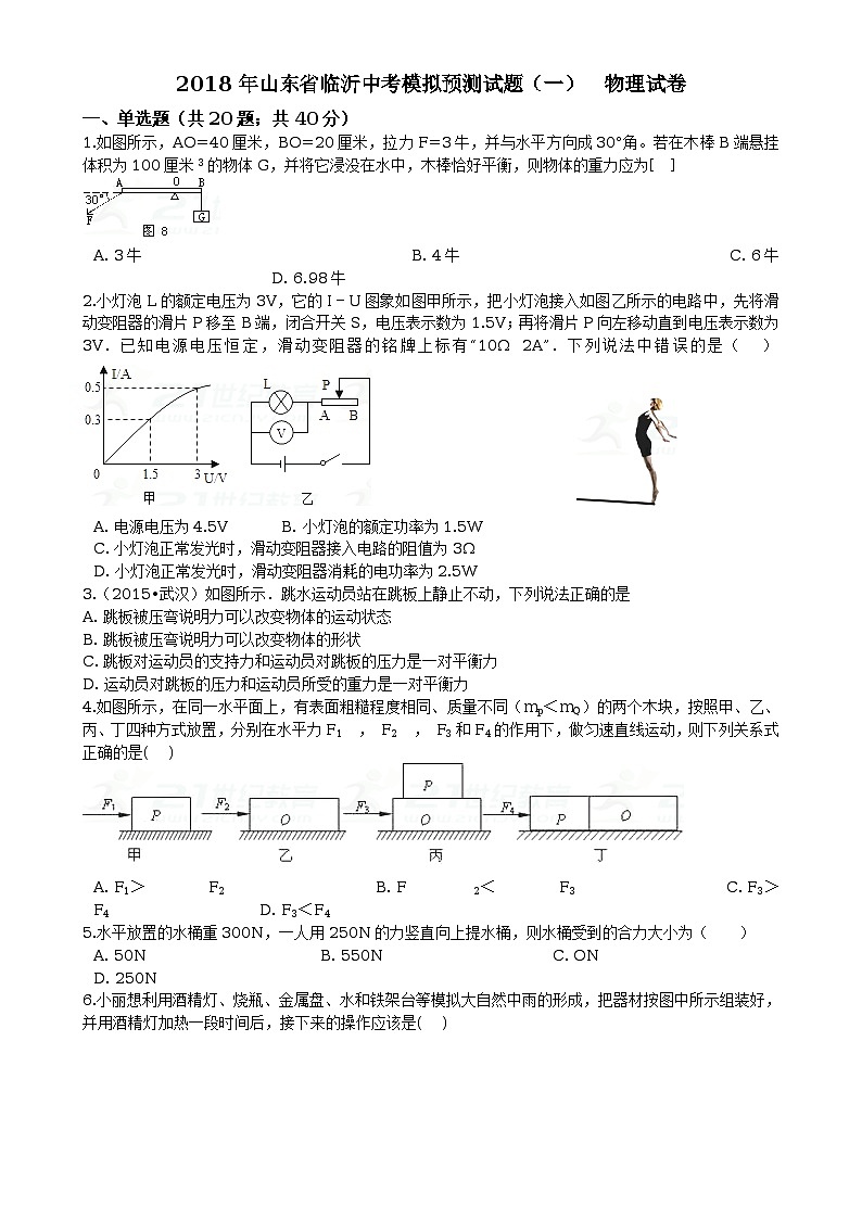 2018年山东省临沂中考模拟预测物理试题及答案(一)01