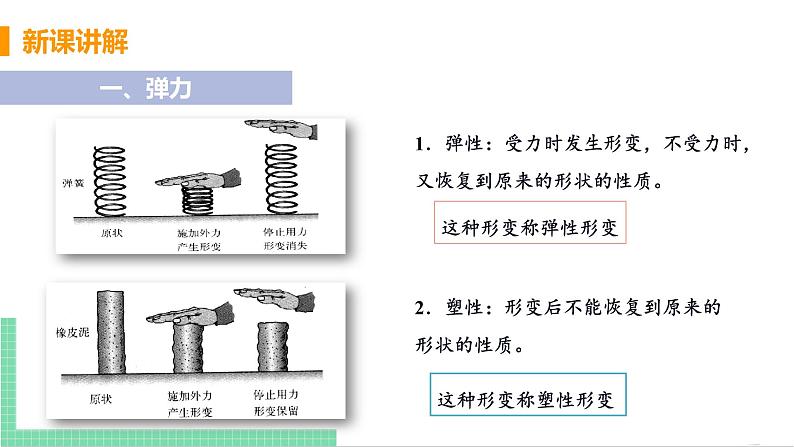 2021年初中物理人教版八年级下册 第七章 第2节 弹力  课件05