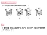 第十九章　生活用电    学习区+拓展区课件PPT