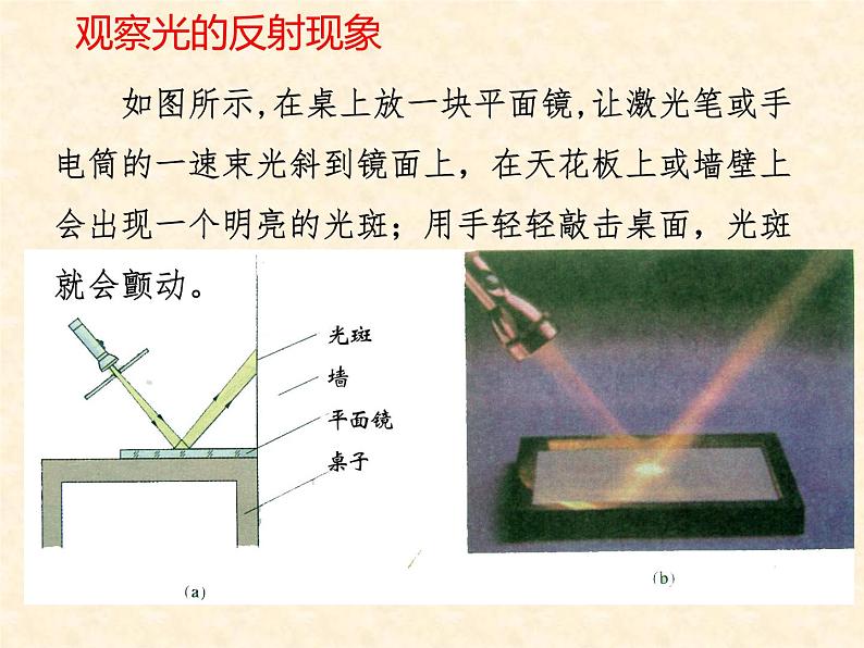 第四章 光现象 第2节 光的反射课件PPT第8页