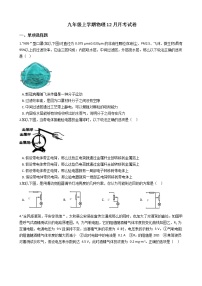 2020-2021年安徽省阜阳市九年级上学期物理12月月考试卷附答案