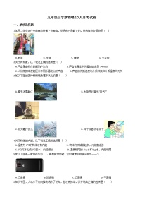 2020-2021年河北省张家口市九年级上学期物理10月月考试卷附答案