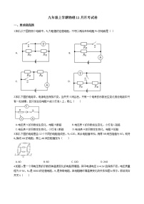 2020-2021年安徽省合肥九年级上学期物理11月月考试卷附答案