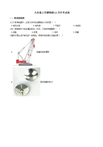 2020-2021年上海市松江区九年级上学期物理12月月考试卷附答案