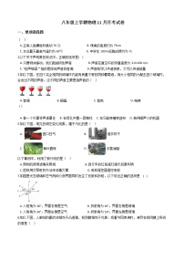 2020-2021年江苏省东台市八年级上学期物理11月月考试卷附答案