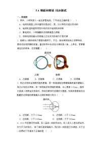 物理八年级上册第4节 眼睛和眼镜当堂达标检测题