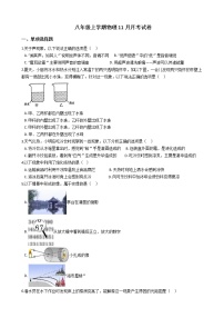 2020-2021年山西省右玉县八年级上学期物理11月月考试卷附答案