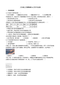 2020-2021年江苏省常州市八年级上学期物理10月月考试卷附答案