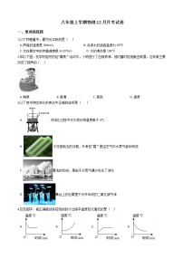 2020-2021年江苏省南京市八年级上学期物理12月月考试卷附答案