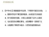 北师版九年级下册物理习题课件 第16章 16.3能源：危机与希望
