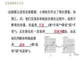 鲁科版（五四学制）九年级下册物理课件 第18章 全章高频考点专训  专训2  物态变化规律的探究