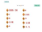 滬粵版九年級下冊物理習題課件 第20章 20.3　能的轉(zhuǎn)化與能量守恒