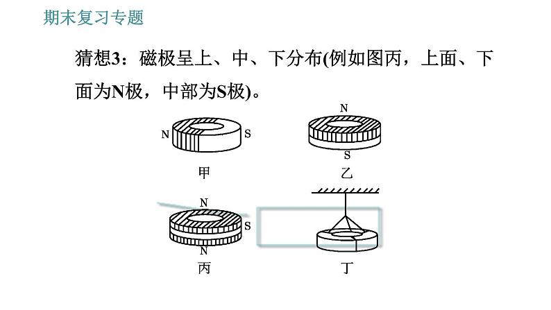 沪粤版九年级下册物理习题课件 期末复习专题 专题1　实验专题06