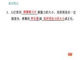 沪粤版八年级下册物理课件 第6章 6.2   怎样测量和表示力0