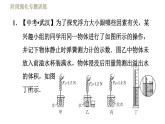 苏科版八年级下册物理课件 第10章 阶段强化专题训练（九）  专训1  探究浮力