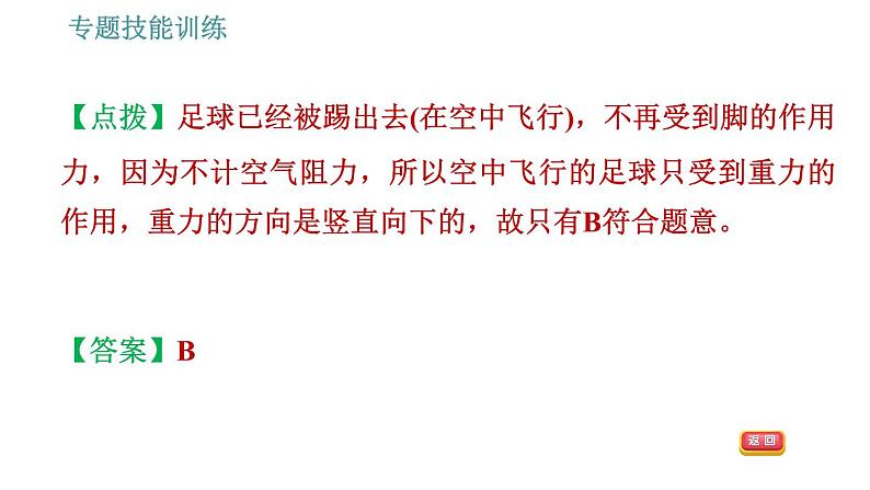 沪粤版八年级下册物理课件 第6章 专训（一）  三种力及力的示意图第5页