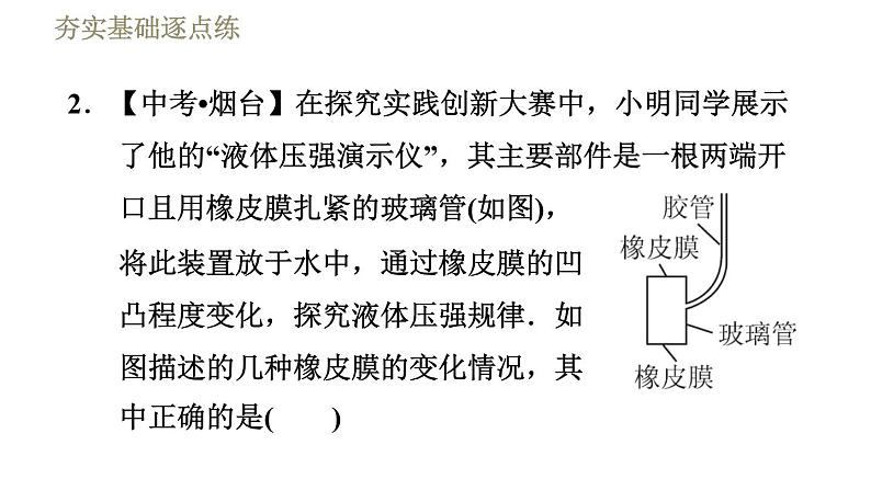 苏科版八年级下册物理课件 第10章 10.2液体的压强第5页