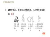 人教版八年级下册物理课件 第11章 11.1功