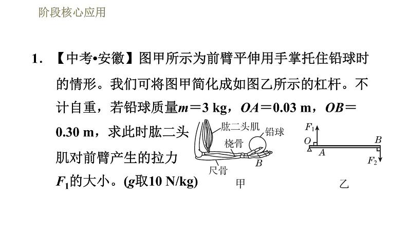 人教版八年级下册物理课件 第12章 阶段核心应用  专训2  简单机械的计算03