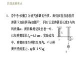 人教版八年级下册物理课件 第7章 阶段高频考点  专训2  弹力、重力和反作用力的探究