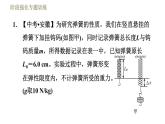 鲁科版八年级下册物理课件 第6章 阶段强化专题训练（一）  专训2  弹力、重力和反作用力的探究