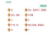 沪科版八年级上册物理习题课件 第6章 6.4 来自地球的力