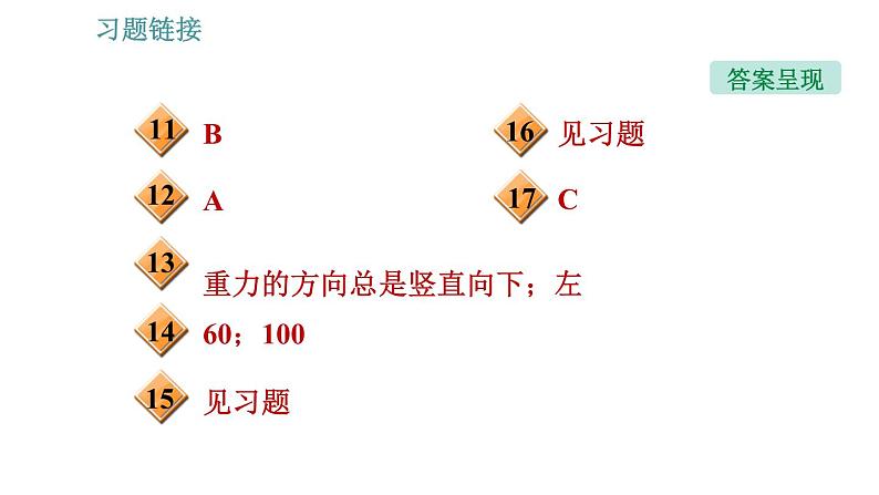 沪科版八年级上册物理习题课件 第6章 6.4 来自地球的力04