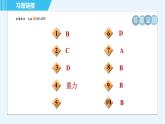 滬科版八年級上冊物理習(xí)題課件 第6章 6.4.1重力的大小