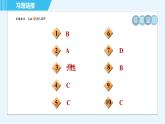 滬科版八年級上冊物理習(xí)題課件 第6章 6.3彈力與彈簧測力計(jì)