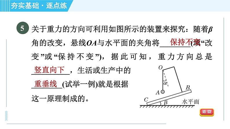 沪科版八年级上册物理习题课件 第6章 6.4.2重力的方向和作用点第8页