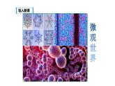 八年级物理上册第五章《显微镜和望远镜》精品课件1人教版