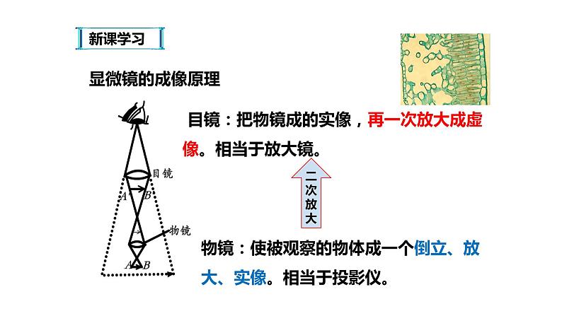 八年级物理上册第五章《显微镜和望远镜》精品课件1人教版第6页