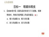 人教版八年级上册物理习题课件 第5章 5.4眼睛和眼镜