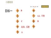 人教版八年级上册物理习题课件 第4章 4.3平面镜成像