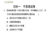 人教版八年级上册物理习题课件 第4章 4.3平面镜成像