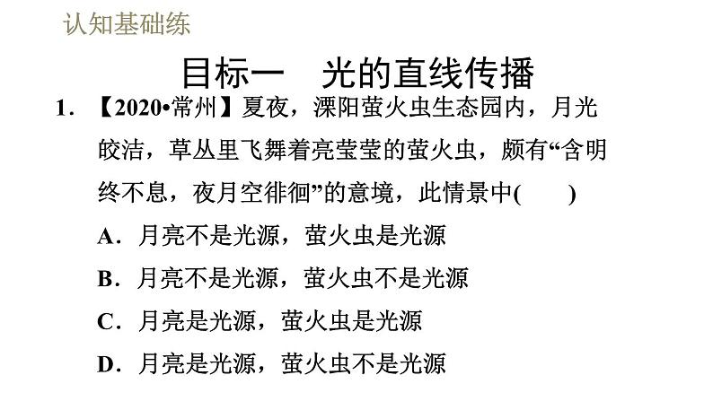 人教版八年级上册物理习题课件 第4章 4.1光的直线传播05