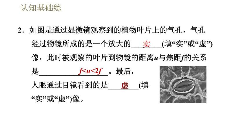 人教版八年级上册物理习题课件 第5章 5.5显微镜和望远镜第4页