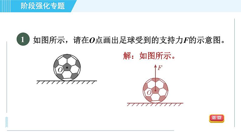 沪科版八年级上册物理习题课件 第6章 阶段强化专题（七）专训1 力的作图第3页