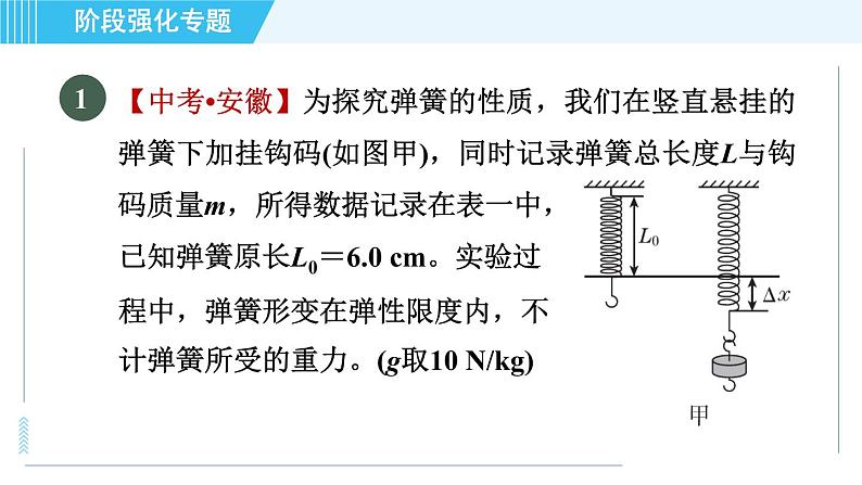 沪科版八年级上册物理习题课件 第6章 阶段强化专题（七）专训2 力的探究第3页