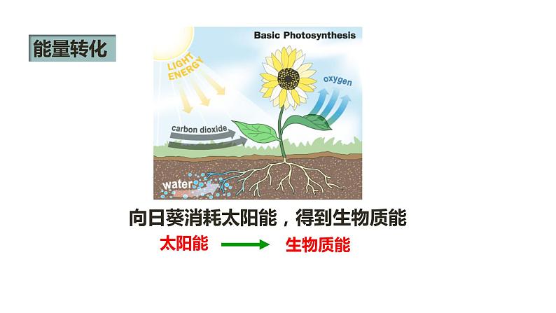 人教版九年级物理上册-- 第十四章 内能的利用 第三节 能量的转化和守恒（课件）第5页