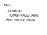 八年级物理上册第四章《光的折射》精品课件2人教版