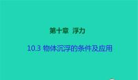 初中物理人教版八年级下册10.3 物体的浮沉条件及其应用评课课件ppt