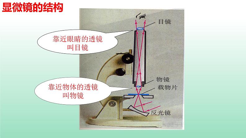 第五章第五节显微镜和望远镜课件 人教版八年级物理上册05