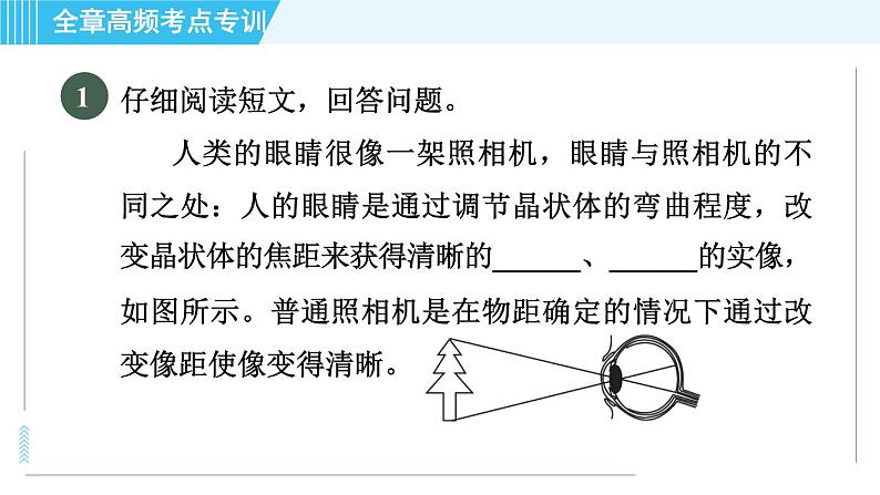 鲁科版八年级上册物理 第4章 习题课件03