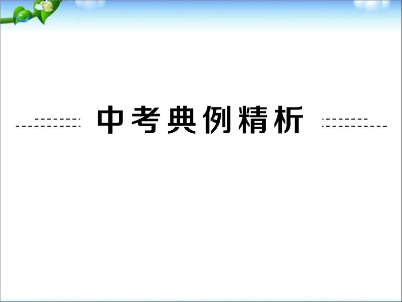 中考物理(全国通用)总复习精讲：第20讲_电功率(一) 课件07