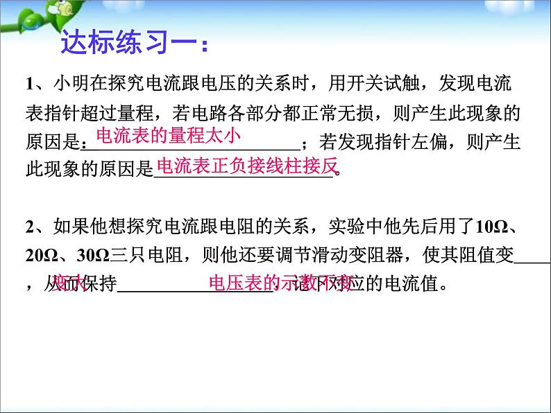 中考物理总复习电学实验专题第8页