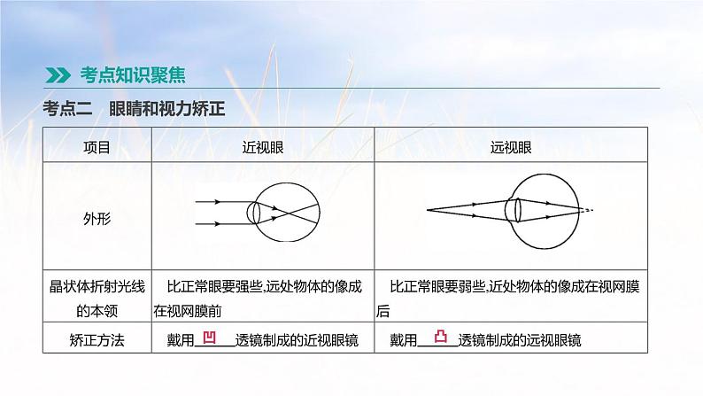 中考物理一轮复习第04课时　透镜　凸透镜成像第5页